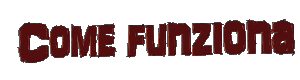 come funziona